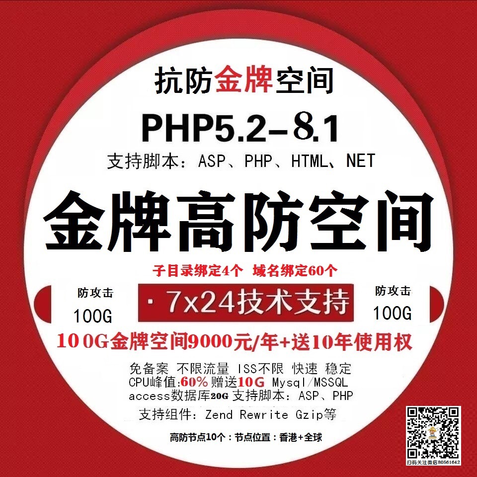 金牌空间100G